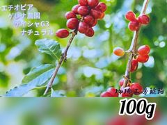 エチオピア ゲレナ農園 ゲイシャG3〜ナチュラル〜　自家焙煎コーヒー豆100g