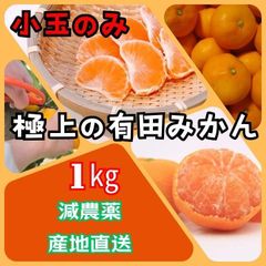 有田みかん 小玉のみ 1㎏ 産地直送 減農薬ミカン 濃厚 甘い 高糖度