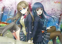 【中古】ポスター B2布ポスター 川霧花菜＆新條悠 「PS4/Switchソフト フルキスSS 完全生産限定版」 楽天ブックス購入特典