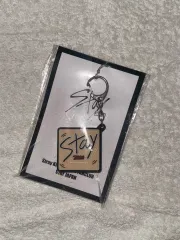 Stray Kids(ストレイキッズ・スキズ・SKZ) スンミン(SEUNGMIN) 日本 ボイス キーホルダー 公式トレカ 公式フォトカード 出品