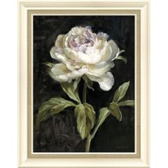 絵画 ダンフイ ナイ「ピオニー ブラック」 花 フラワー おしゃれ インテリア 植物画 ギフト 額付き 壁掛け 額入り アートフレーム リビング 玄関 店舗 Lサイズ