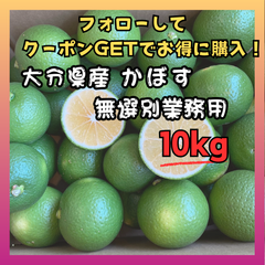 市原かぼす園「かぼす10kg(種無し)」業務用/無選別/大分県佐伯市特産品/ご家庭/贈答品にも/送料無料