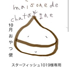 スターフィッシュ1019様専用　おやつ便　シフォンケーキサンド　チーズケーキ　テリーヌ