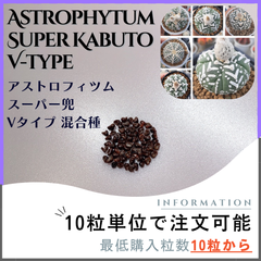 【種子】アストロフィツム スーパー兜 Vタイプ /セット割あり10粒から購入可