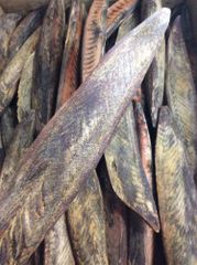 枕崎産　荒本鰹節表面削り　１ｋｇ　８本前後