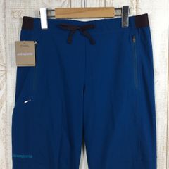 MENs 29 パタゴニア テラヴィア ライト アルパイン パンツ Terravia Light Alpine Pants （アルトヴィア ライト アルパイン パンツ Altvia Light Alpine Pants） ソフトシェル ストレッチ PATAGO