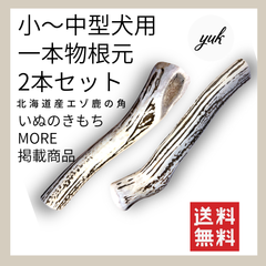 【クーポン発行中】小〜中型犬用　一本物　根元2本セット　鹿の角　犬のおもちゃ　鹿の骨　C