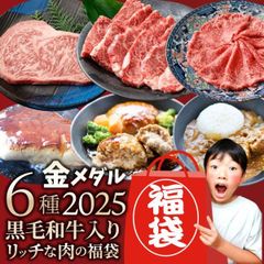 2025 肉 福袋 ステーキ 金メダル 6種盛り 黒毛和牛 牛肉 凍眠 テクニカン お得 お中元 ギフト グルメ ロース カルビ 赤身 ハンバーグ フォアグラ