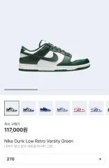 NIKE(ナイキ) ダンクロー レトロ バーシティグリーン 270