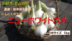 値下げ！京都木津山城産　ニューホワイト六片　乾燥にんにく１ｋｇ（Mサイズ）