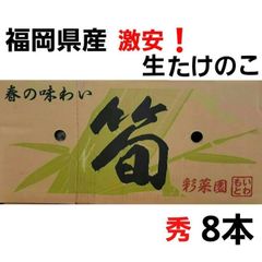 福岡県産「生たけのこ」 激安❗箱売り　8本入り→1箱 (満杯詰) 秀