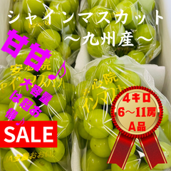 《クール便》【大容量セール♪】キャンペーン　九州産　シャインマスカット　《綺麗》　4キロ（6〜11房）　葡萄♪ぶどう♪ ※送料無料※果物　大容量　フルーツ　甘い果物　旬のフルーツ　シャイン