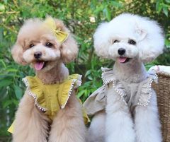 犬の服　コットンワンピース