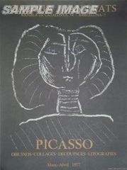 パブロ・ピカソ オフセットリトグラフポスター 「～1977」【額縁無し】#FA150010