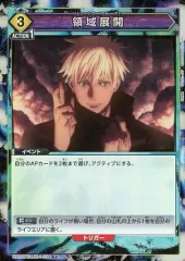 2025年最新】ユニオンアリーナ 領域展開の人気アイテム - メルカリ