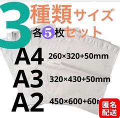 【匿名配送】LDPE宅配袋 宅配ビニール袋 a4 a3 a2　各5枚　 強力テープ付き3種類セット
