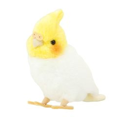 吉徳ことりのね オカメインコ 180092