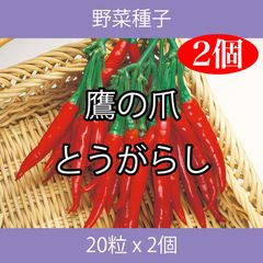 野菜種子 TVK01 鷹の爪とうがらし 20粒 x 2個