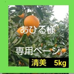 あひる様　専用ページ　清美　５Kg　和歌山県　マルマ農園のサムネイル