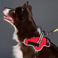 ezydog 大型犬 ハーネス 付属バッグ2つ - メルカリ