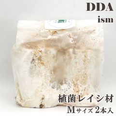 【DDA】植菌レイシ材 Mサイズ 2本入 加水不要 dda クワガタ 産卵木 クヌギ コナラ 霊芝