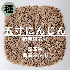 【種】ニンジン　新黒田五寸　農薬不使用　200粒