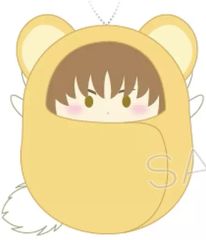 [중고] 봉제인형 마스코트 봉제인형 배지 이소랑(케로쨩 ver.) [카드캡터 사쿠라 클리어카드편 쿠루미타피누이]