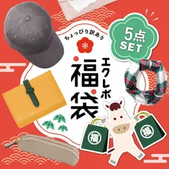 福袋 レディース 2026 雑貨 福袋 訳あり おすすめ メンズ 秋冬 レディース福袋 福袋 売れ残り セール 在庫処分 fk-02