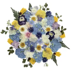 MiDoRi 50枚入 水色紫陽花の押し花ドライフラワーセット 実物撮影 ブルー 紺色 ビオラ アジサイ ノースポール 小花 フロックス 葉っぱ すみれ スミレ リーフ ホワイト パープル 黄色 15種類入り