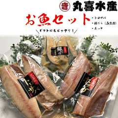 丸喜お魚セット