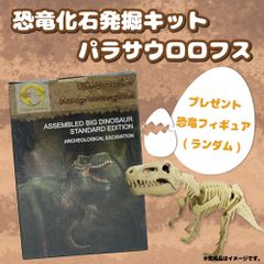 恐竜化石発掘キット 恐竜化石発掘セット パラサウロロフス 知育玩具 おもちゃ