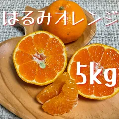和歌山県由良町産　はるみ　５kg