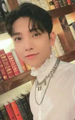 【中古】コレクションカード(男性) SEVENTEEN/JOSHUA(ジョシュア)/裏面グレー/SEVENTEEN PHOTOBOOK 「SOCIAL CLUB ： CARAT」(Al Fine ver.)封入特典フォトカード