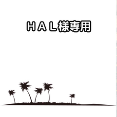 ＨＡＬ様専用　【鉢ごと発送】ユッカ　グラウカ　Yucca glauca　2025.4.9yg1