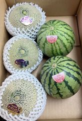 食べ比べセット　アンデスメロン　スイカ　小玉スイカ　ひとりじめ　青肉メロン