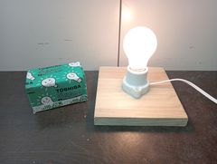 M0349【未使用品】TOSHIBA LW110V20W ホワイトランプ　シリカ電球　口金E26 1個