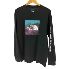 ザノースフェイス THE NORTH FACE 21AW L/S Digital Logo Tee ロングスリーブ デジタル ロゴ ティー  メンズ import：L 