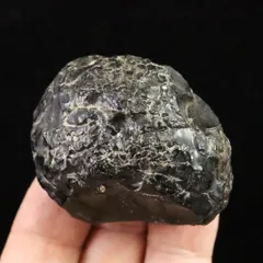 2025年最新】湧別川の人気アイテム - メルカリ