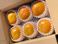 【送料無料】農家直送の富有柿（贈答用）約1.5キロ(6玉入)