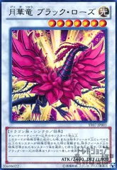 2025年最新】月華竜 ブラック・ローズの人気アイテム - メルカリ