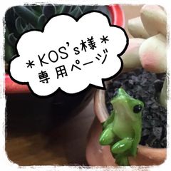 ＊KOS's様＊専用 1苗