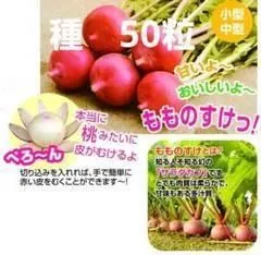 2025年最新】モモのすけの人気アイテム - メルカリ