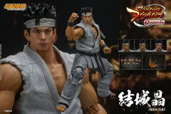 高評価レビュー ポ*ン様 バーチャファイターeスポーツ2体 Collectibles Storm ゲームキャラクター