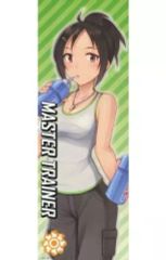 [중고] 동인 포스터·태피스트리·캘린더계 [아이돌 마스터] 스틱 포스터 마스터 트레이너(유키 토끼) MyBestFriends5/도산제