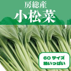 新鮮 小松菜 こまつな 小松菜 8kg 新鮮野菜 - メルカリ