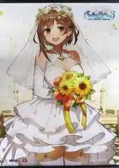 【中古】タペストリー ライザ 描き下ろしB2タペストリー 「PS5/PS4/Switchソフト ライザのアトリエ3 ～終わりの錬金術士と秘密の鍵～」 WonderGOO購入特典