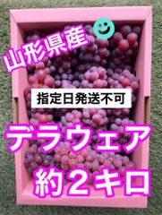 🍇山形県産デラウェア　約２キロ🍇