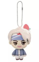 [중고] 잡화 부이(BTS/방탄소년단) [취하는 파카! TinyTAN 봉제인형]