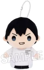 2025年最新】ハイキュー!! 指の上シリーズ ハイキュー!! 影山飛