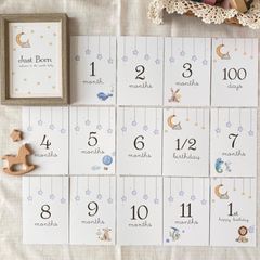 Item thumbnail for item edf76442-349b-420c-95c5-1a2486a42f07